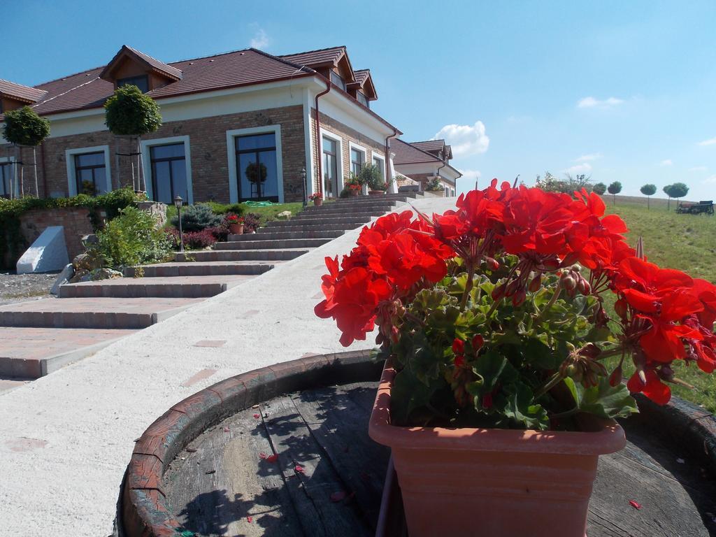 St Peter Vini Hotel Svaty Peter Exterior photo